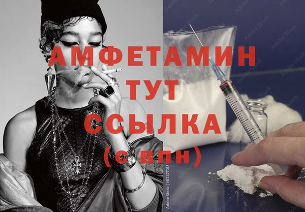 амф Дмитров