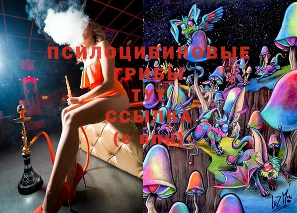 амф Дмитров