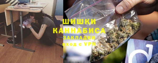 амф Дмитров
